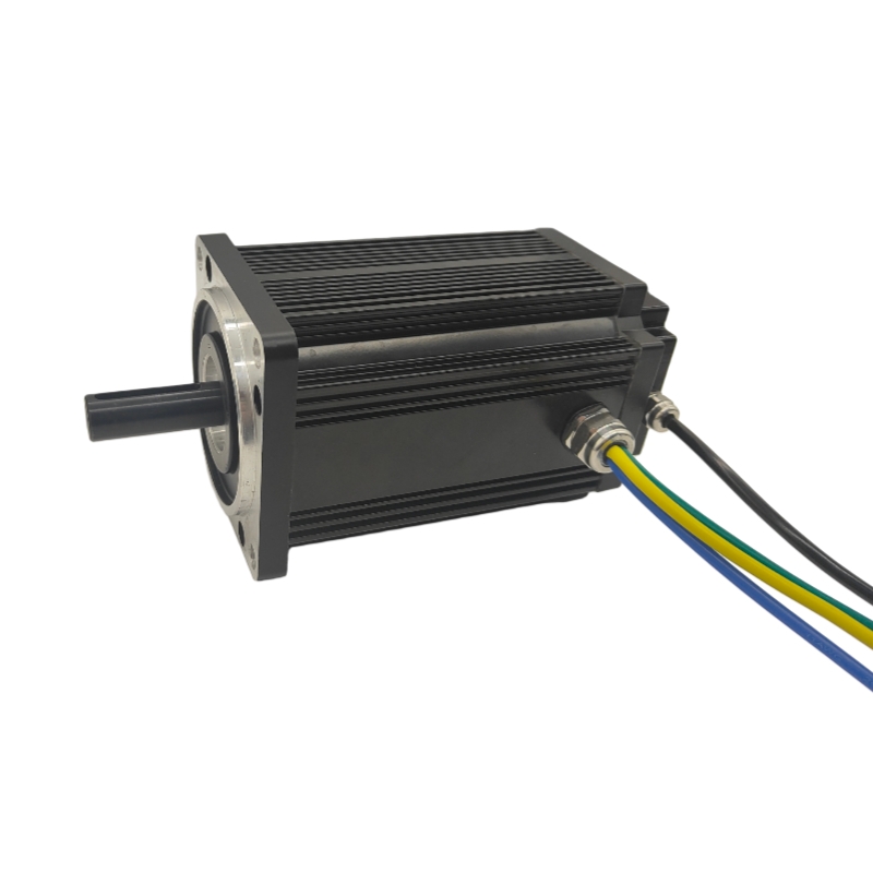 110系列1KW直流无刷电机