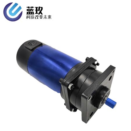 Planetary motor10W-3000W