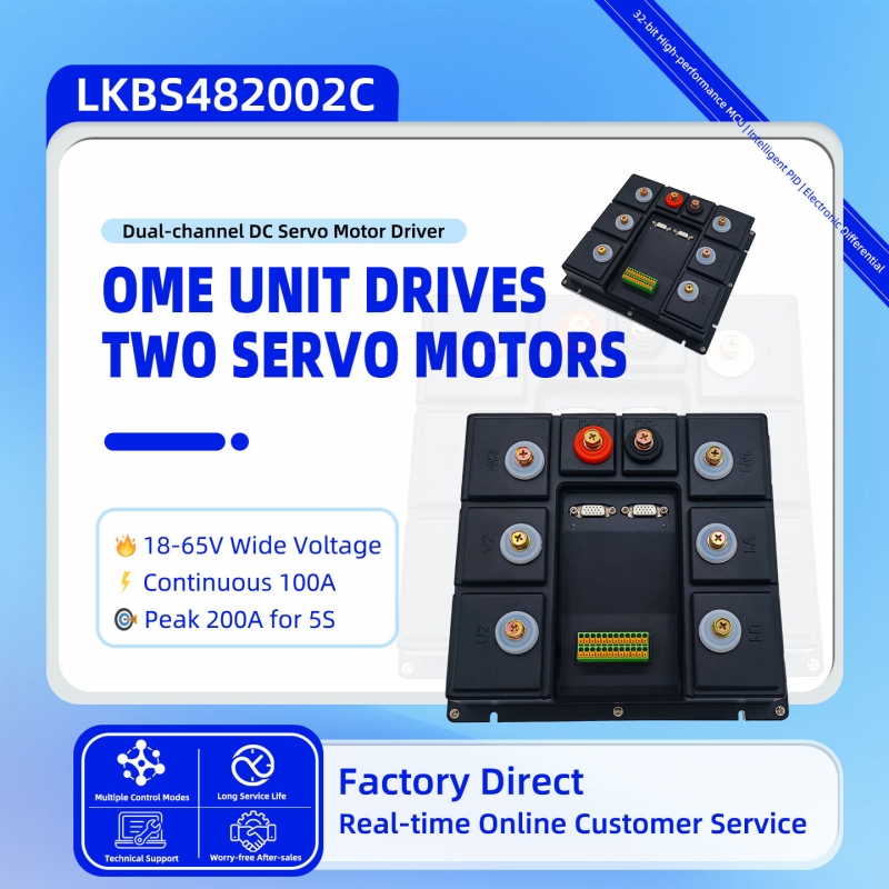Dual-Channel Servo Driver LKBS482002C